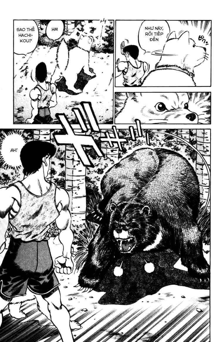 Võ Sĩ Quyền Anh Ippo Chapter 229 - Trang 2