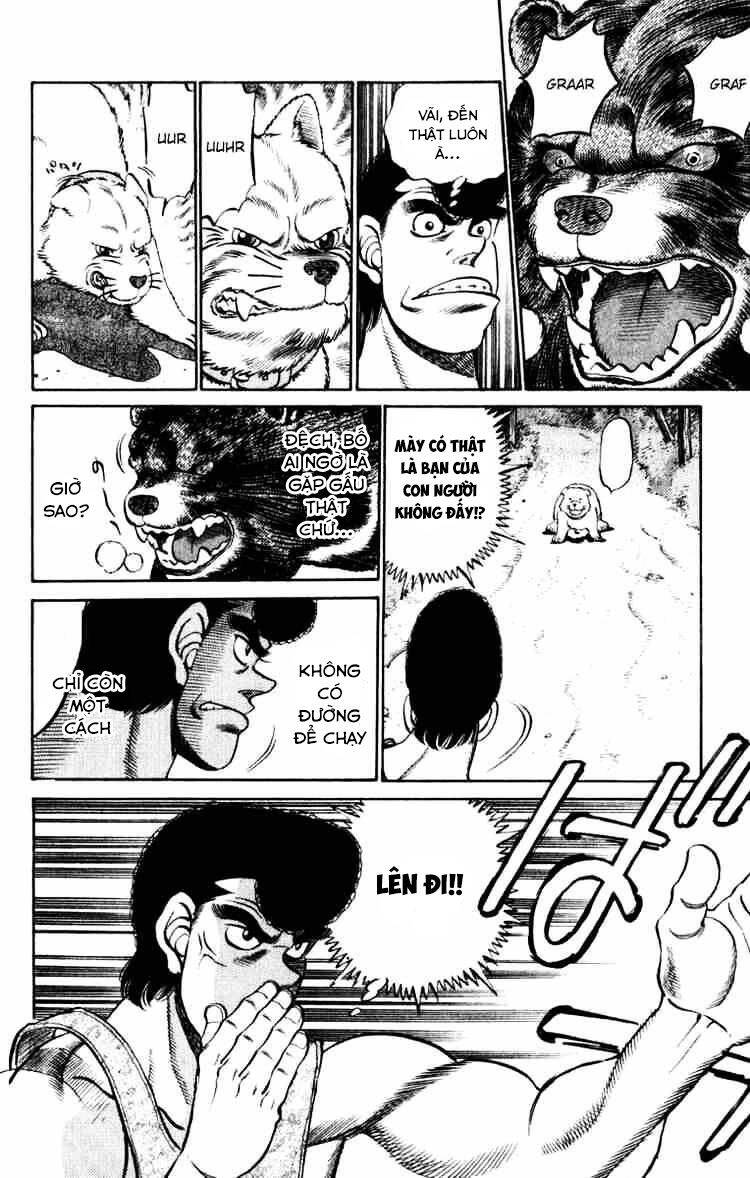 Võ Sĩ Quyền Anh Ippo Chapter 229 - Trang 2