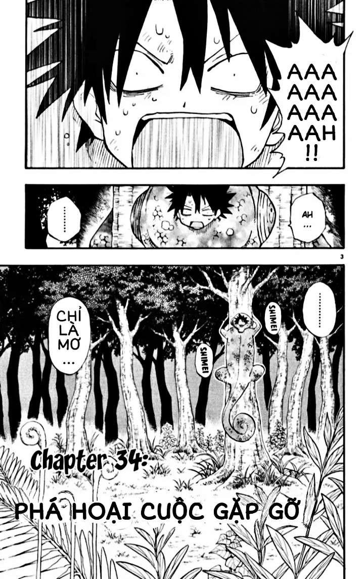 Law Of Ueki Plus Chapter 34 - Trang 2