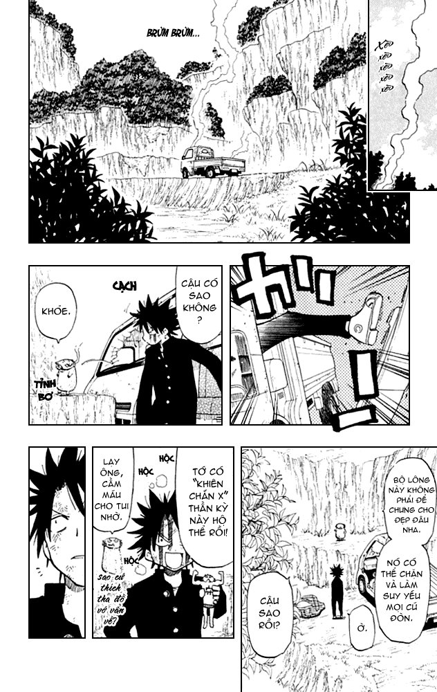 Law Of Ueki Plus Chapter 2 - Trang 2