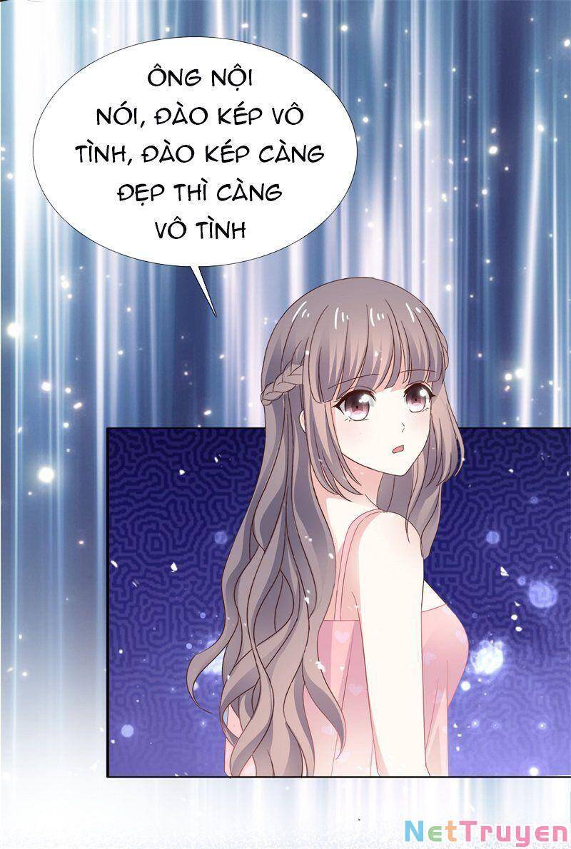 Bồn Nhiên Tinh Động Chapter 31 - Trang 2