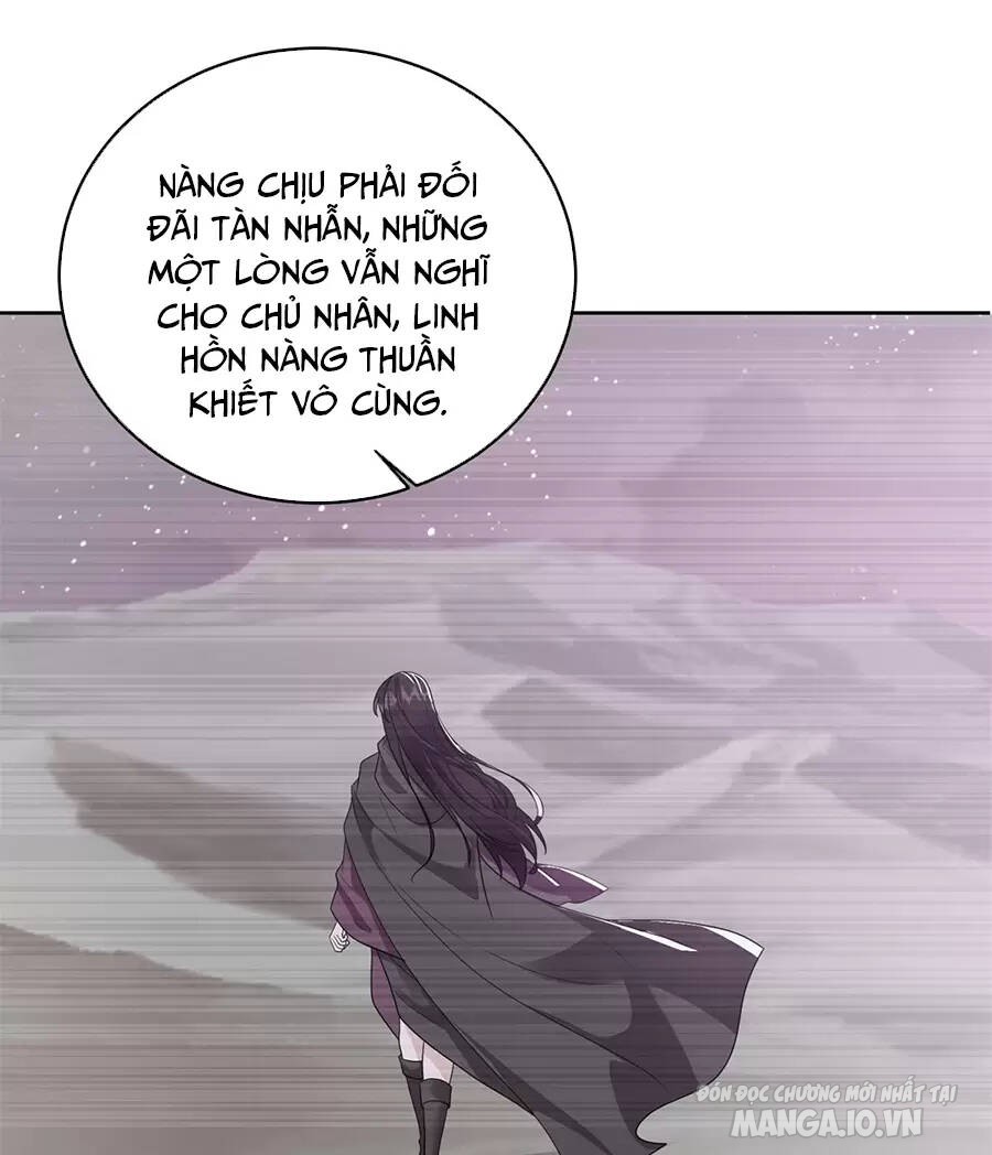 Người Ở Rể Bị Ép Thành Phản Diện Chapter 528 - Trang 2