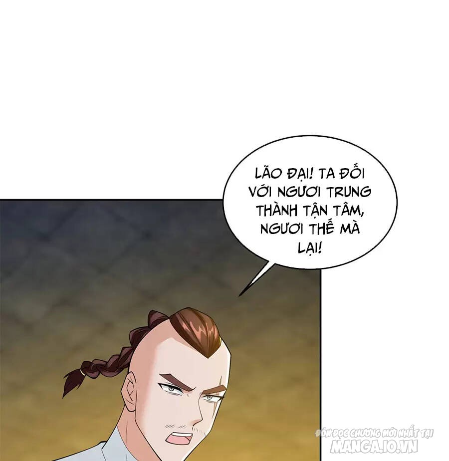 Người Ở Rể Bị Ép Thành Phản Diện Chapter 524 - Trang 2