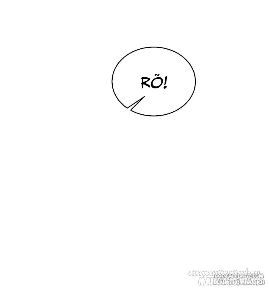 Người Ở Rể Bị Ép Thành Phản Diện Chapter 519 - Trang 2