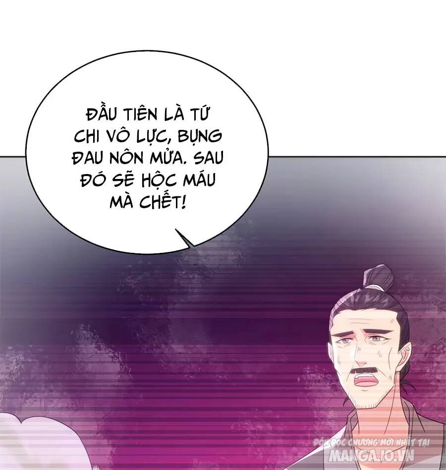 Người Ở Rể Bị Ép Thành Phản Diện Chapter 508 - Trang 2