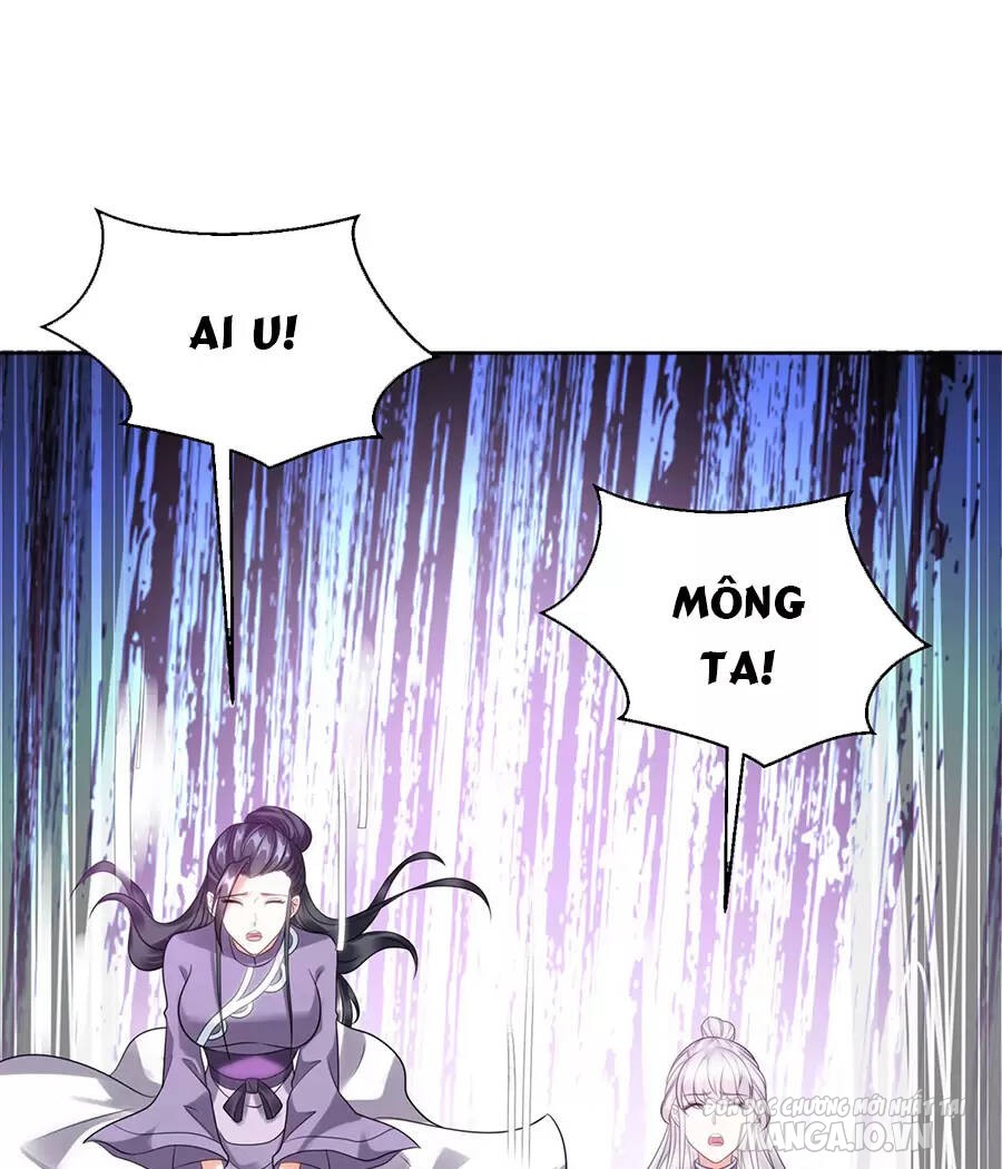 Người Ở Rể Bị Ép Thành Phản Diện Chapter 508 - Trang 2