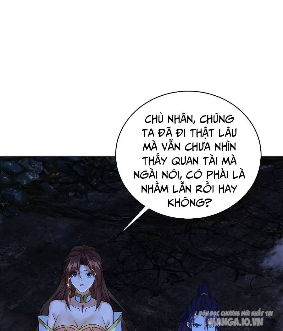 Người Ở Rể Bị Ép Thành Phản Diện Chapter 502 - Trang 2