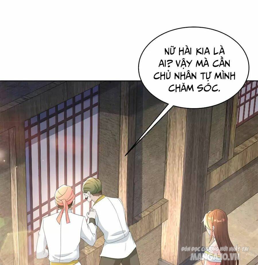 Người Ở Rể Bị Ép Thành Phản Diện Chapter 491 - Trang 2