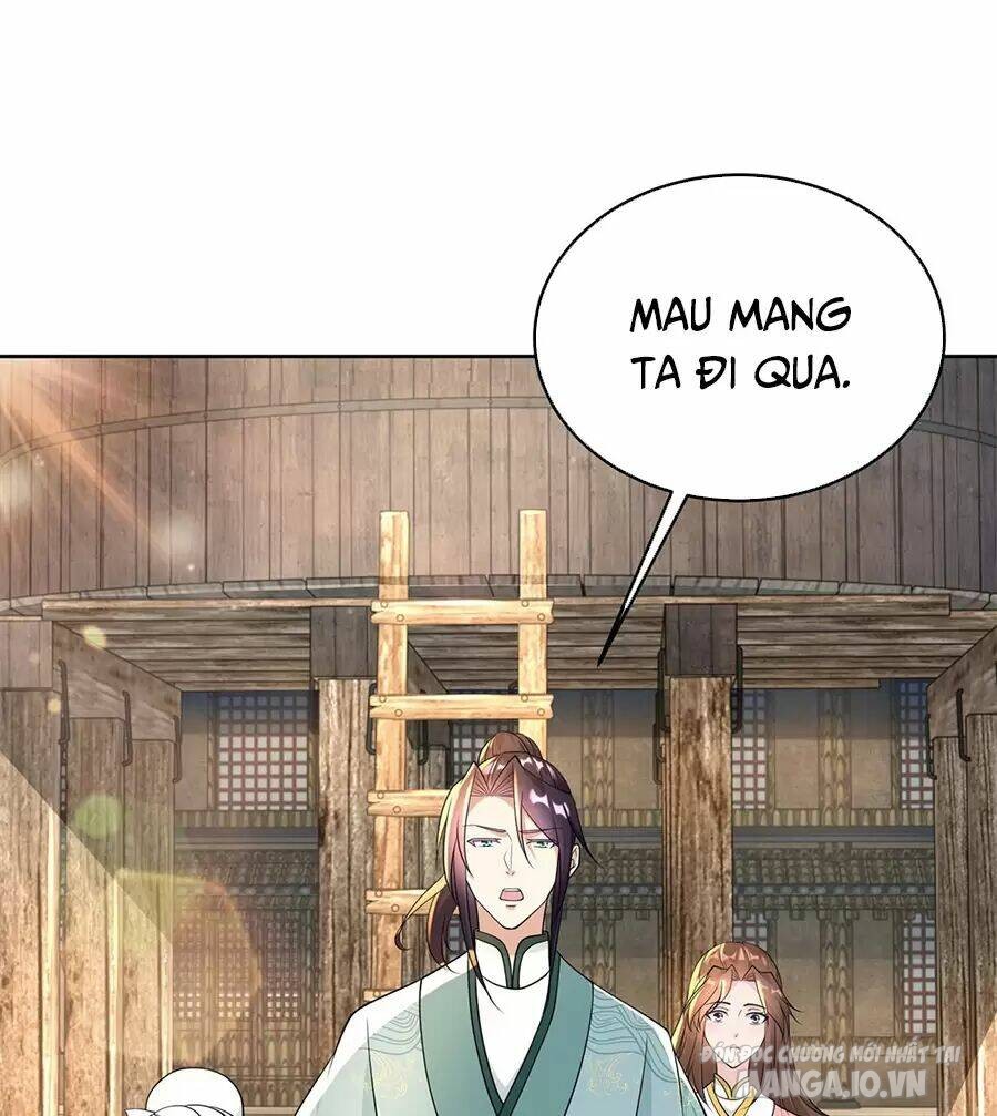 Người Ở Rể Bị Ép Thành Phản Diện Chapter 483 - Trang 2