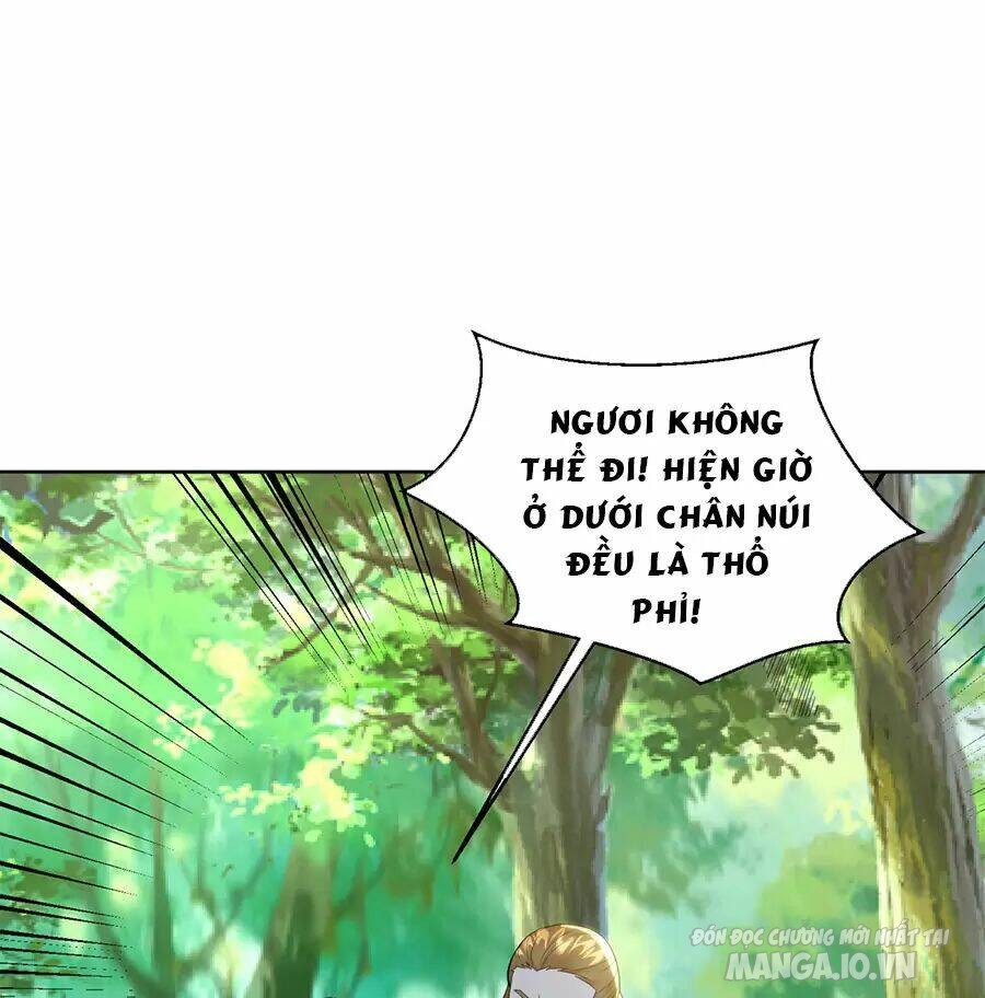 Người Ở Rể Bị Ép Thành Phản Diện Chapter 482 - Trang 2