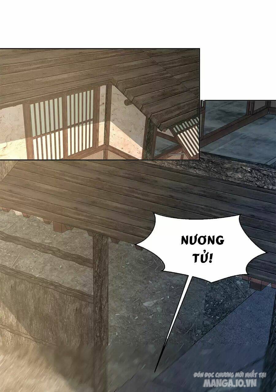 Người Ở Rể Bị Ép Thành Phản Diện Chapter 482 - Trang 2