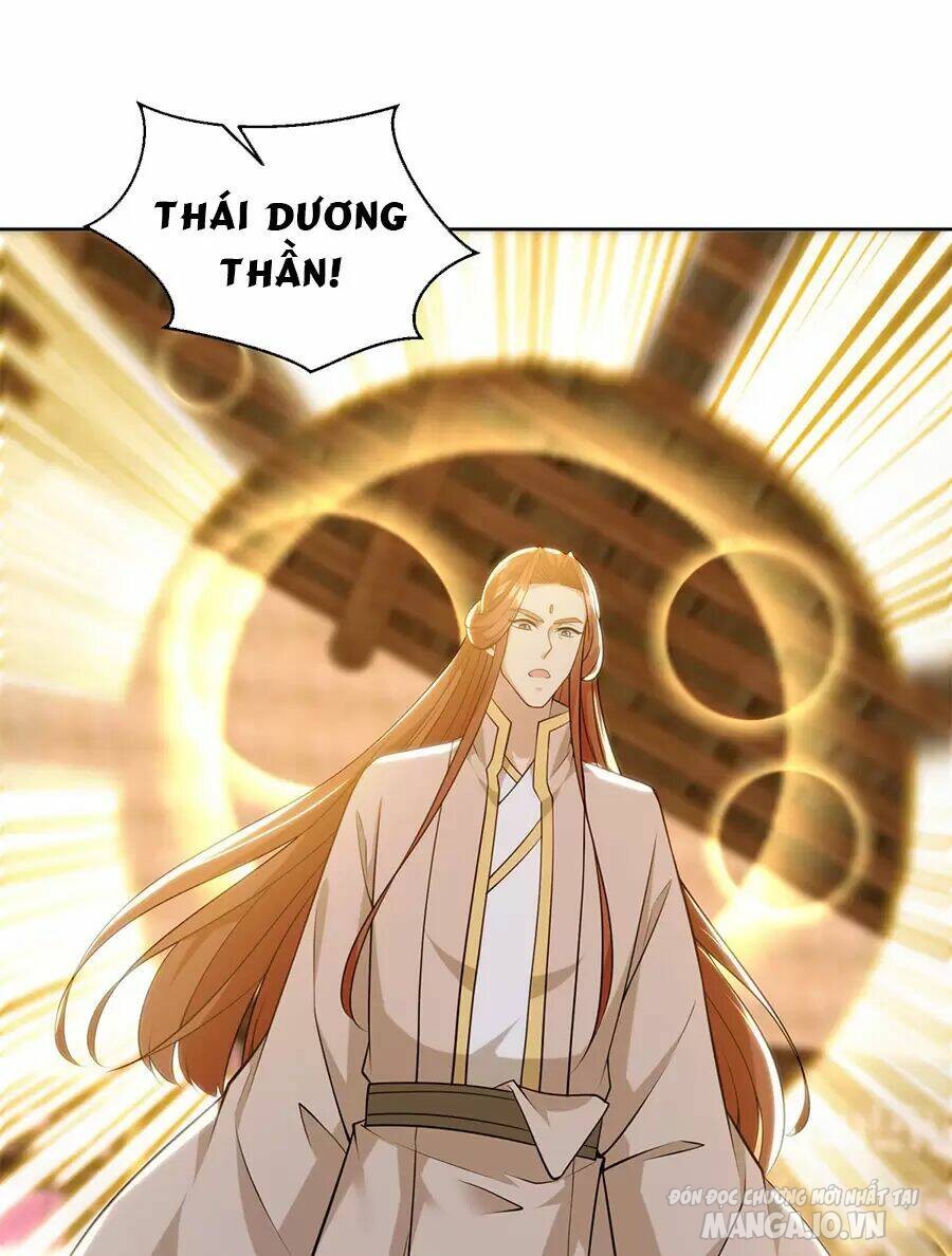 Người Ở Rể Bị Ép Thành Phản Diện Chapter 482 - Trang 2