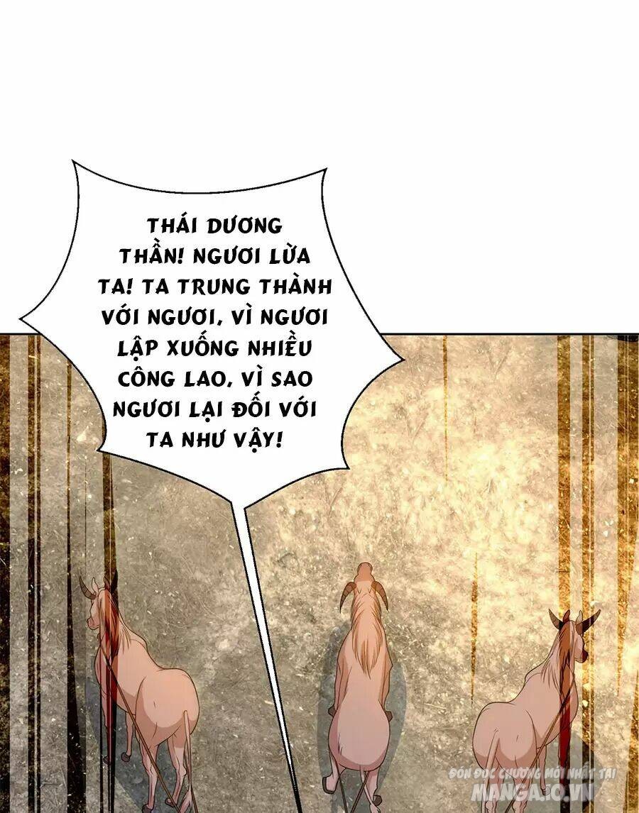 Người Ở Rể Bị Ép Thành Phản Diện Chapter 482 - Trang 2