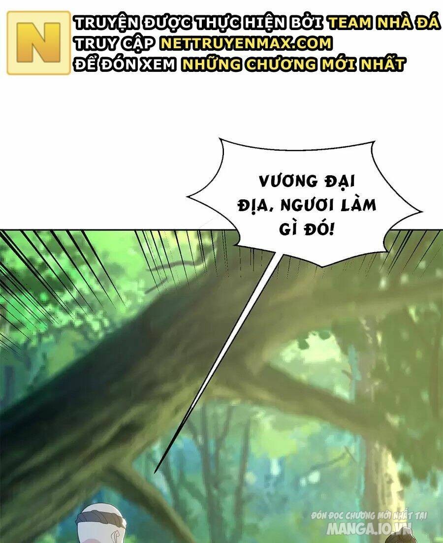 Người Ở Rể Bị Ép Thành Phản Diện Chapter 482 - Trang 2