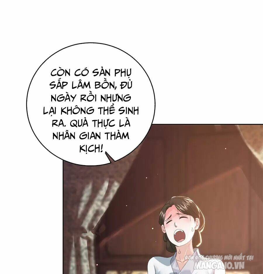 Người Ở Rể Bị Ép Thành Phản Diện Chapter 481 - Trang 2