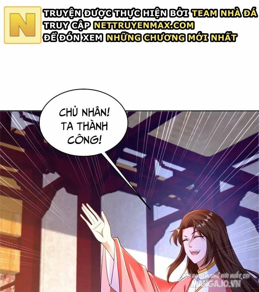 Người Ở Rể Bị Ép Thành Phản Diện Chapter 480 - Trang 2