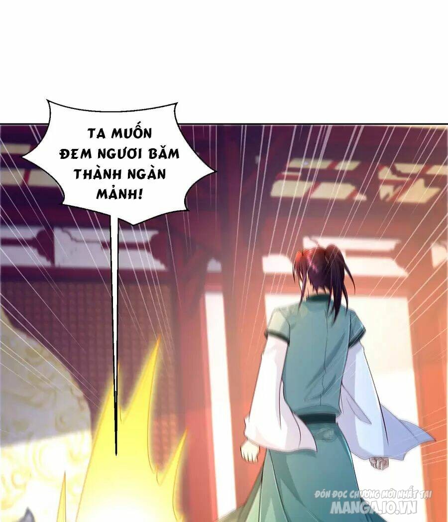 Người Ở Rể Bị Ép Thành Phản Diện Chapter 480 - Trang 2