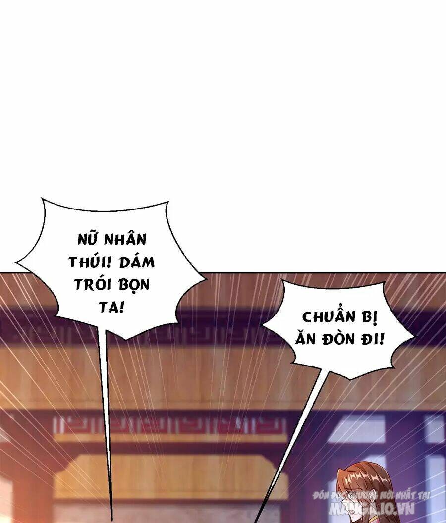 Người Ở Rể Bị Ép Thành Phản Diện Chapter 480 - Trang 2