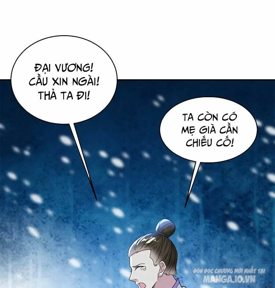 Người Ở Rể Bị Ép Thành Phản Diện Chapter 479 - Trang 2