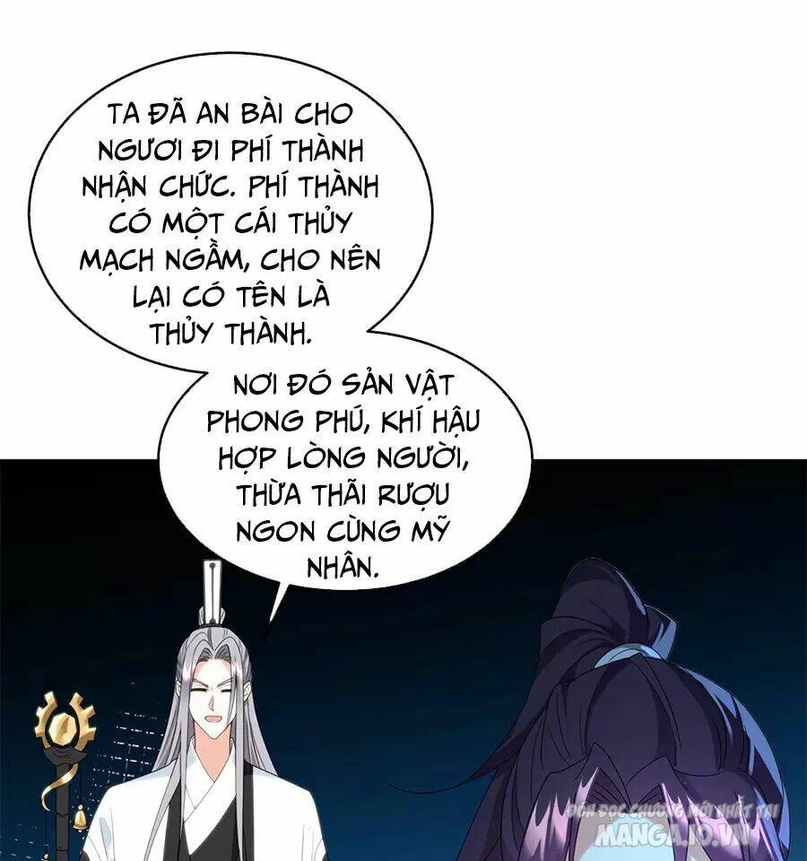 Người Ở Rể Bị Ép Thành Phản Diện Chapter 477 - Trang 2