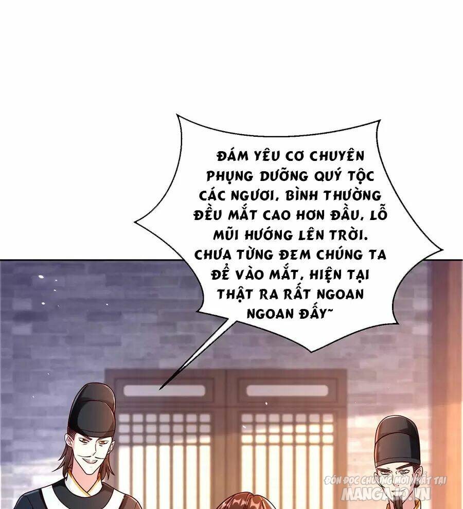 Người Ở Rể Bị Ép Thành Phản Diện Chapter 475 - Trang 2