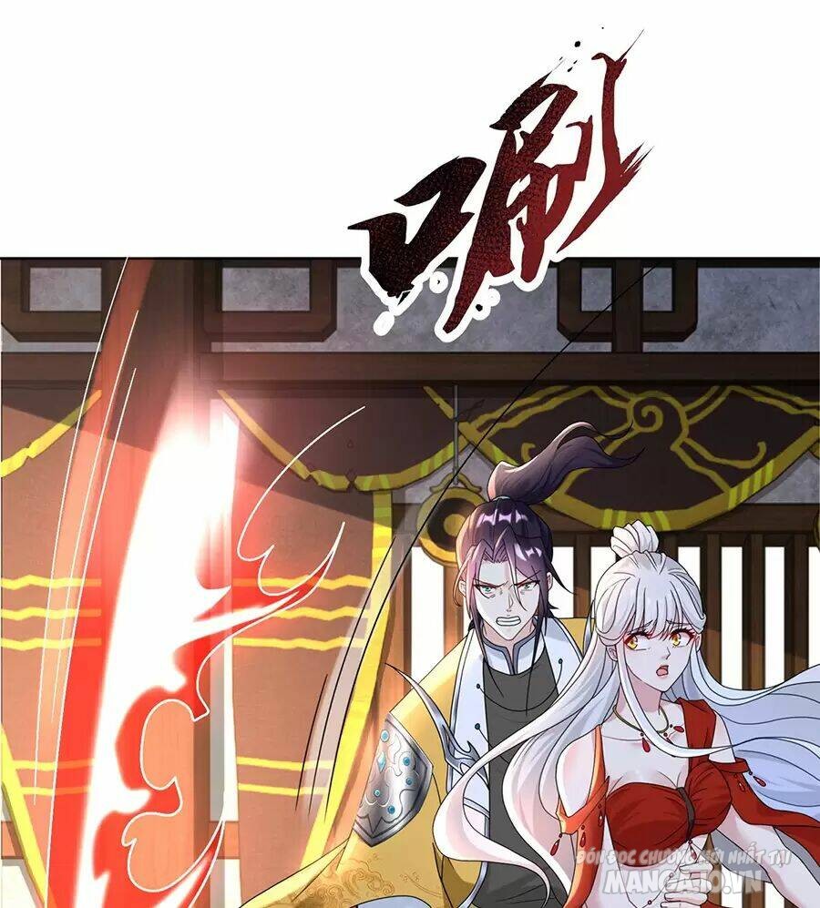 Người Ở Rể Bị Ép Thành Phản Diện Chapter 472 - Trang 2