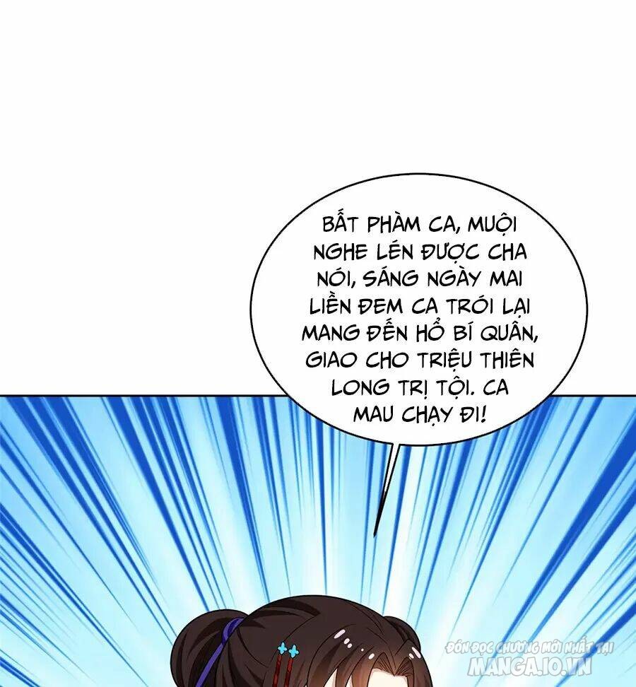 Người Ở Rể Bị Ép Thành Phản Diện Chapter 470 - Trang 2