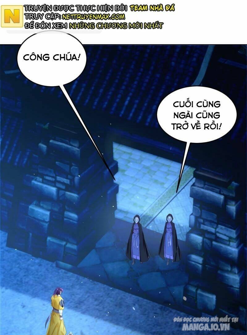 Người Ở Rể Bị Ép Thành Phản Diện Chapter 469 - Trang 2