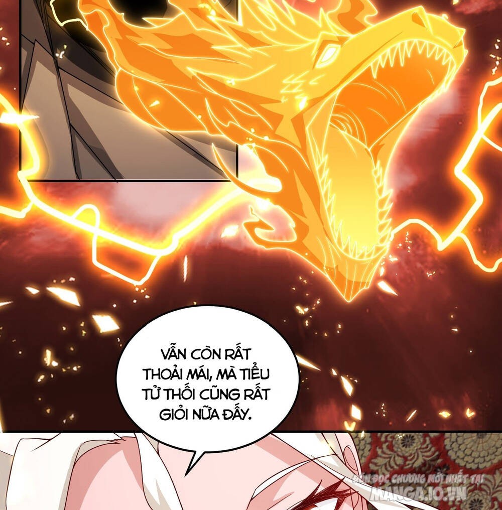 Người Ở Rể Bị Ép Thành Phản Diện Chapter 431 - Trang 2