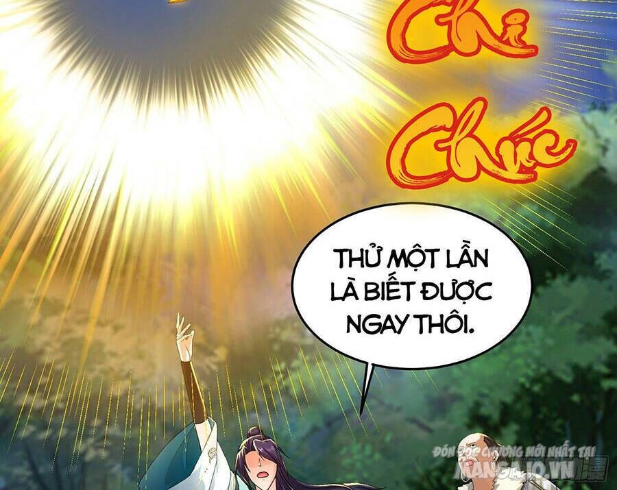 Người Ở Rể Bị Ép Thành Phản Diện Chapter 395 - Trang 2