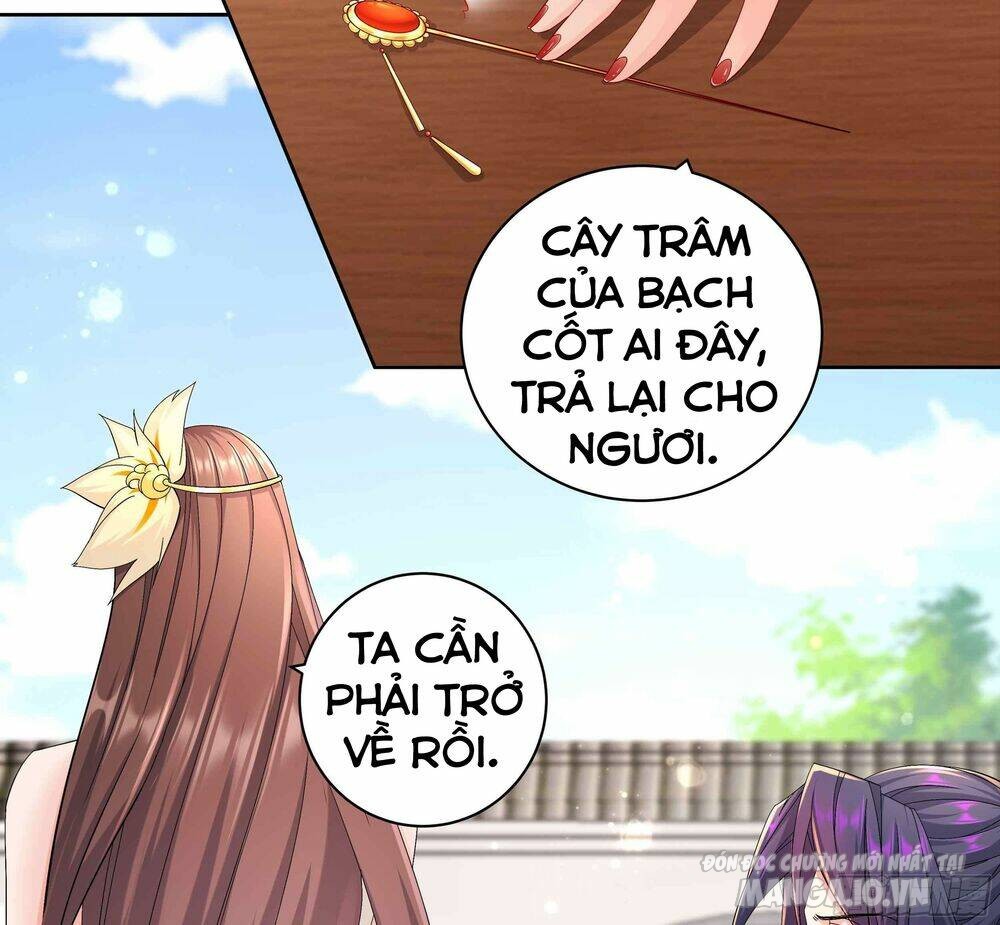 Người Ở Rể Bị Ép Thành Phản Diện Chapter 303 - Trang 2