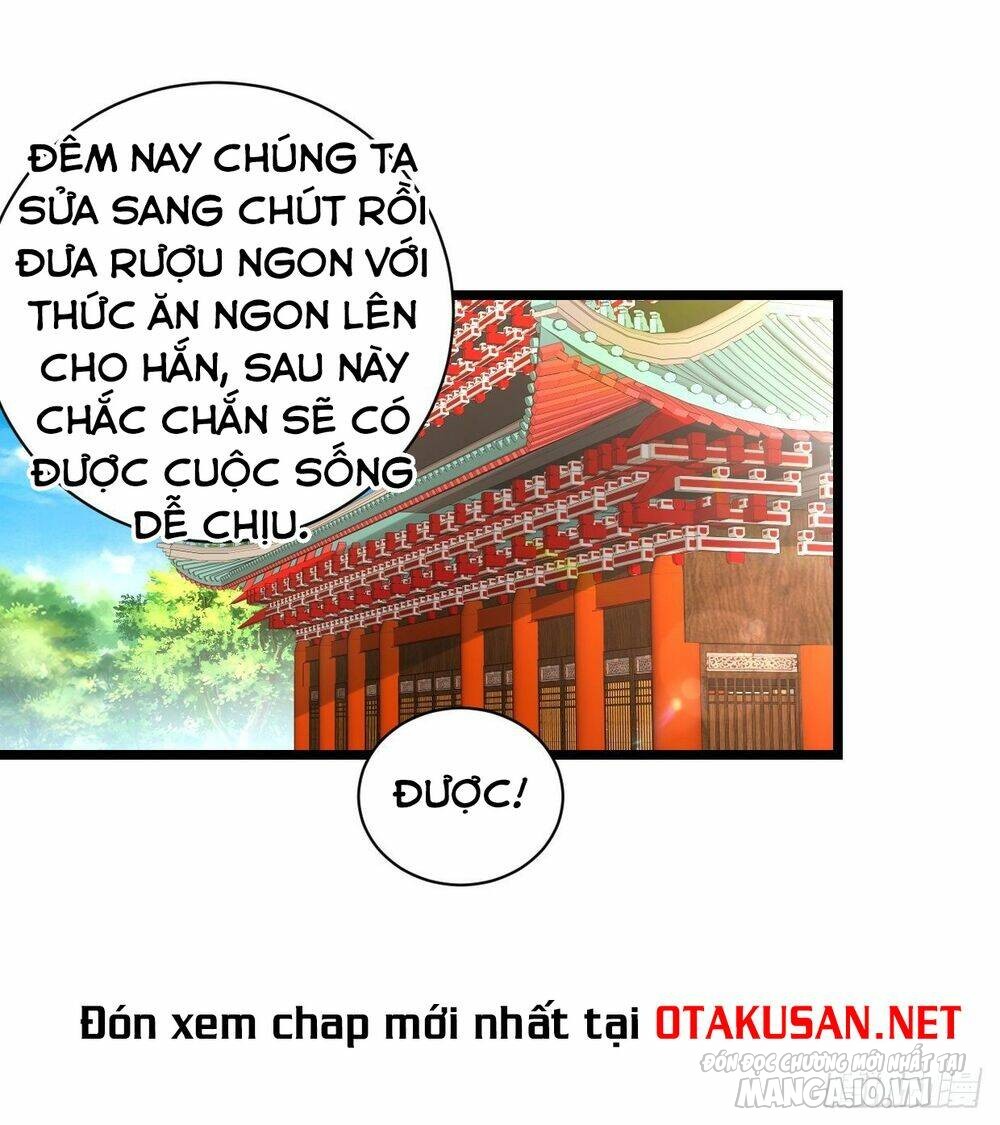 Người Ở Rể Bị Ép Thành Phản Diện Chapter 294 - Trang 2