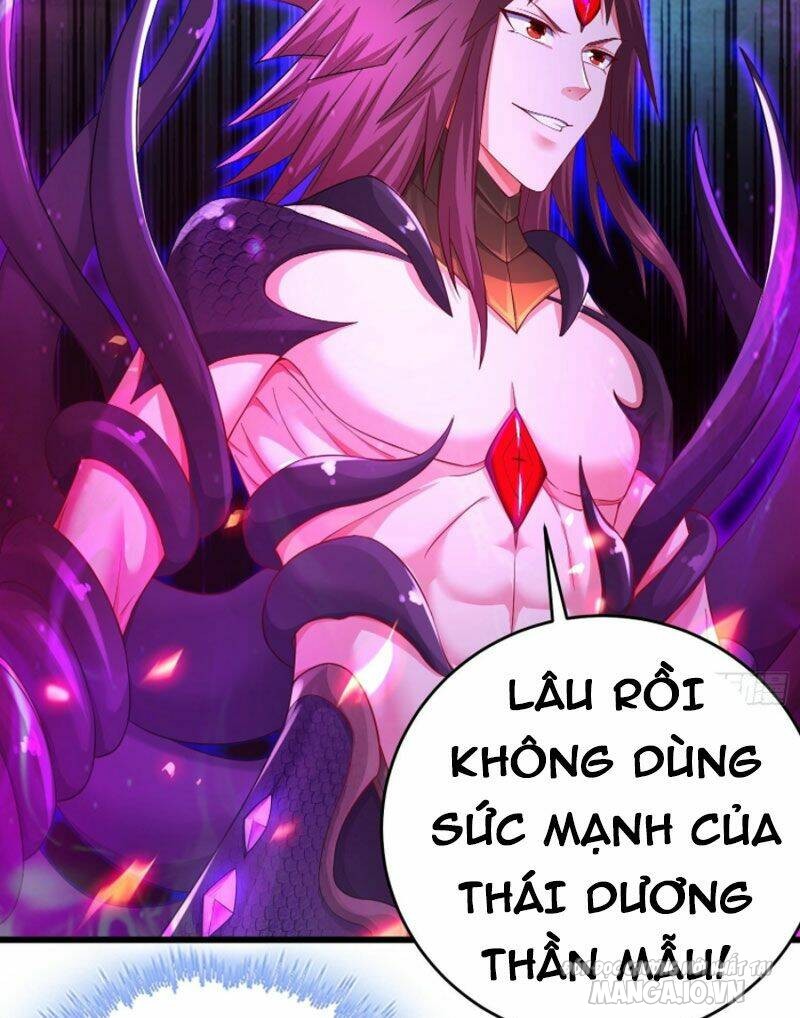 Người Ở Rể Bị Ép Thành Phản Diện Chapter 248 - Trang 2