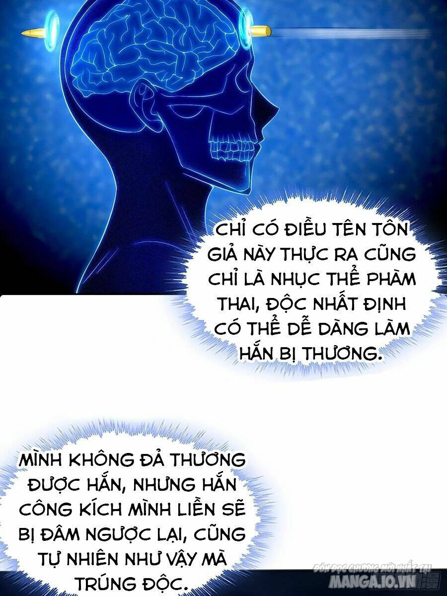 Người Ở Rể Bị Ép Thành Phản Diện Chapter 246 - Trang 2