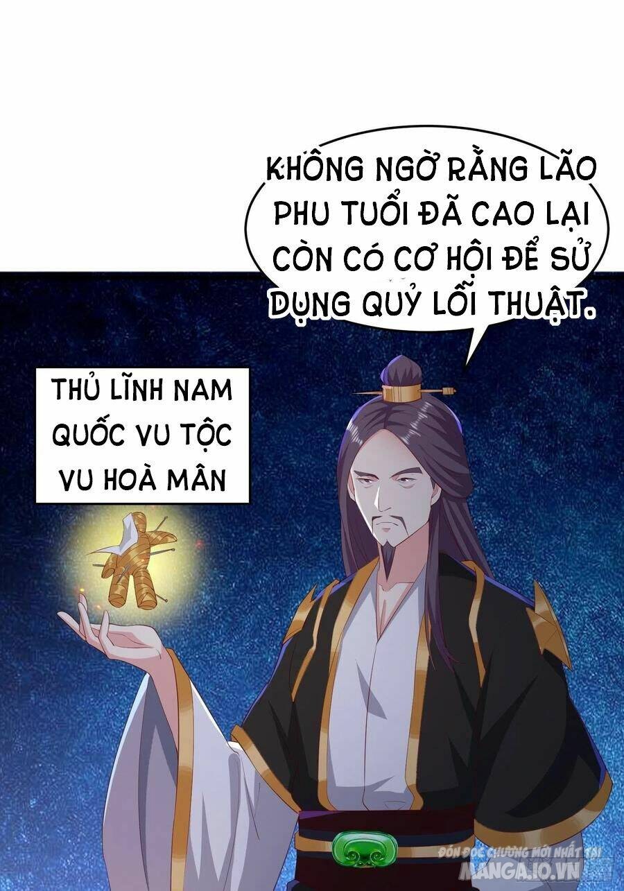 Người Ở Rể Bị Ép Thành Phản Diện Chapter 243 - Trang 2