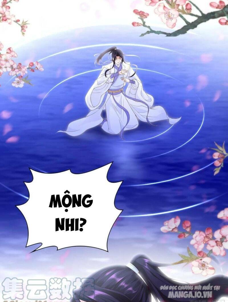 Người Ở Rể Bị Ép Thành Phản Diện Chapter 238 - Trang 2