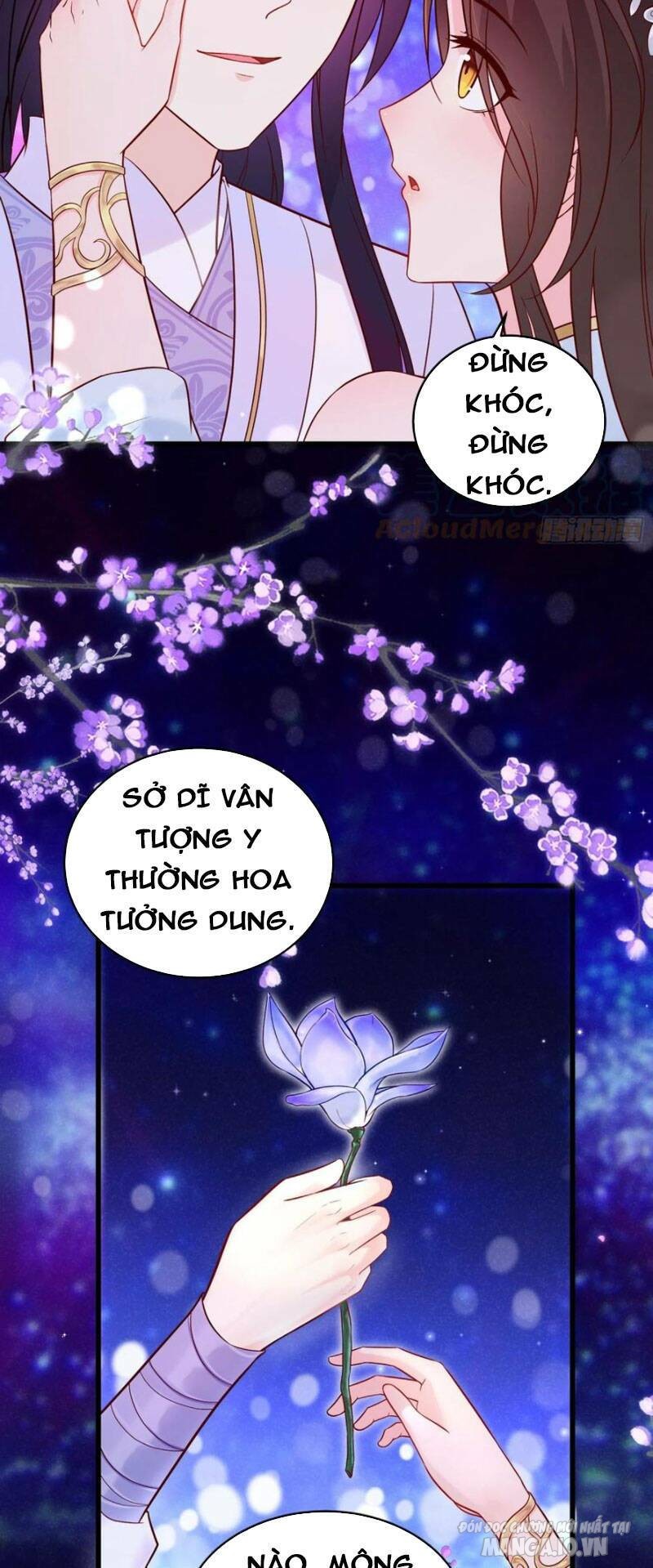 Người Ở Rể Bị Ép Thành Phản Diện Chapter 238 - Trang 2