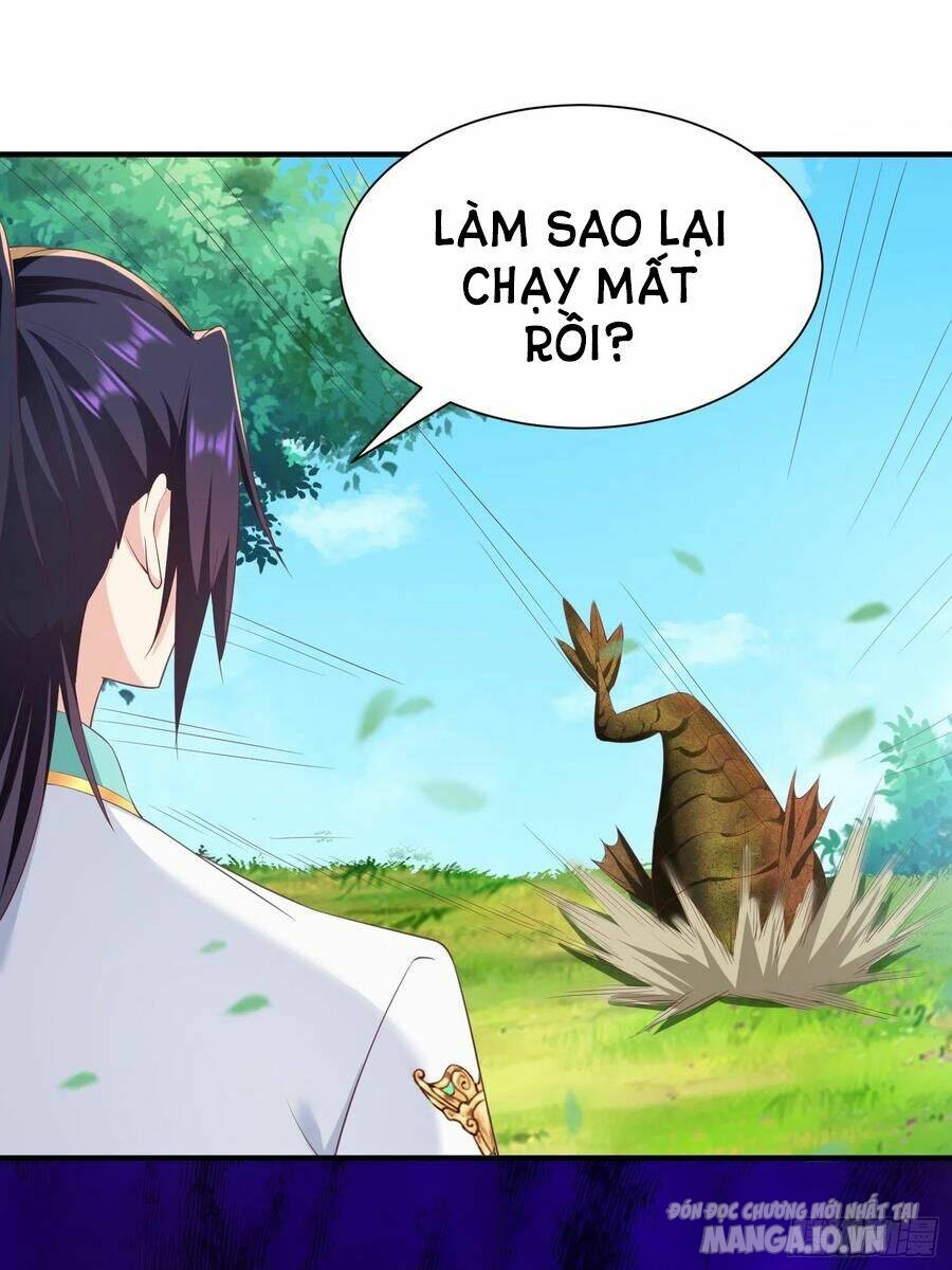 Người Ở Rể Bị Ép Thành Phản Diện Chapter 237 - Trang 2