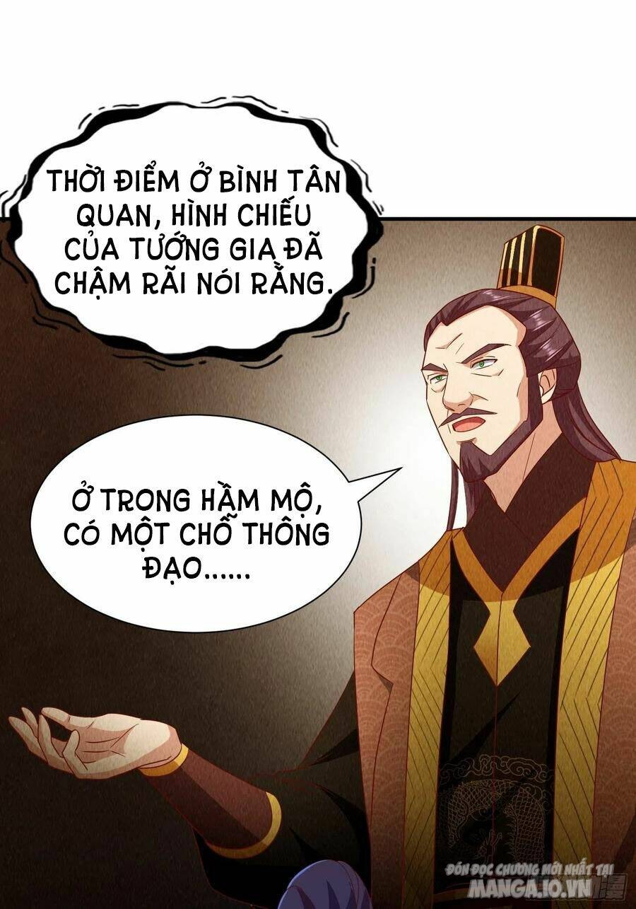 Người Ở Rể Bị Ép Thành Phản Diện Chapter 236 - Trang 2