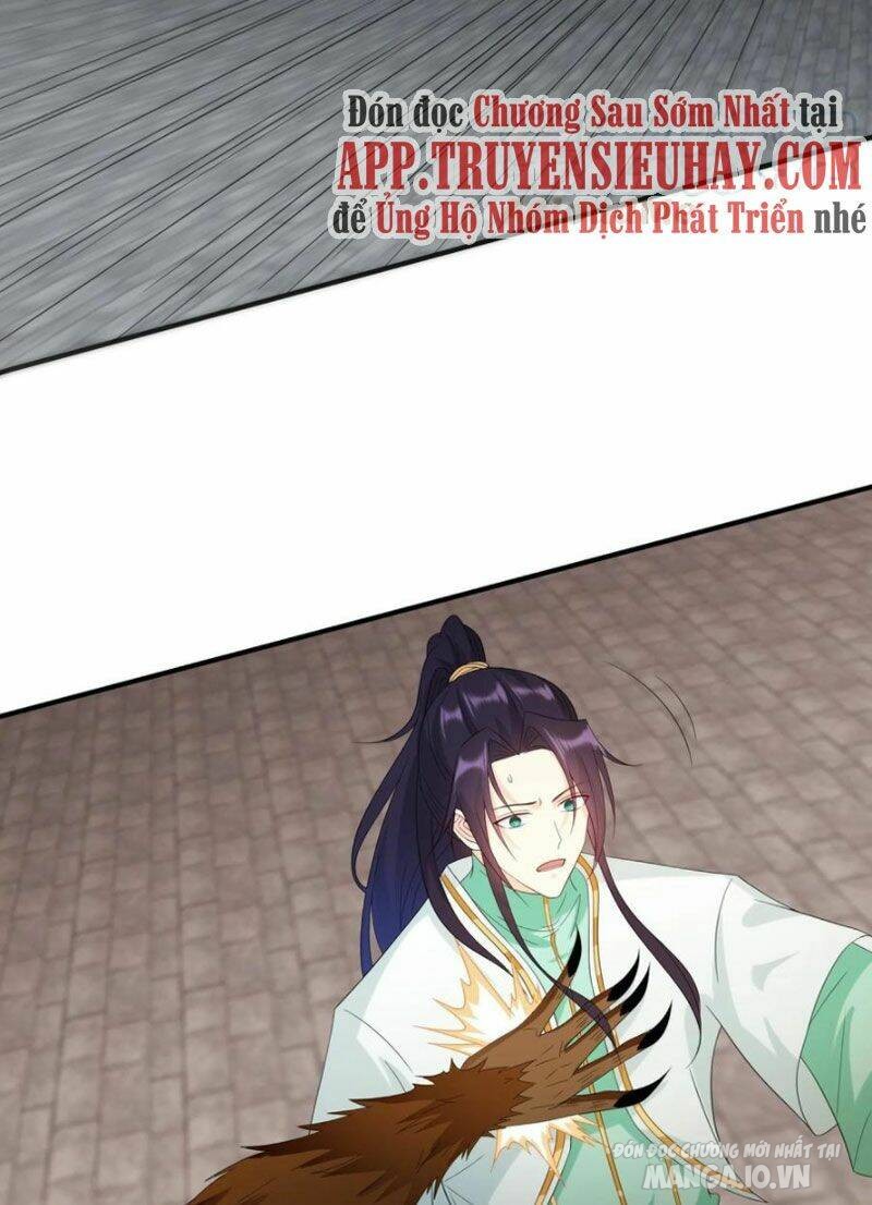 Người Ở Rể Bị Ép Thành Phản Diện Chapter 228 - Trang 2