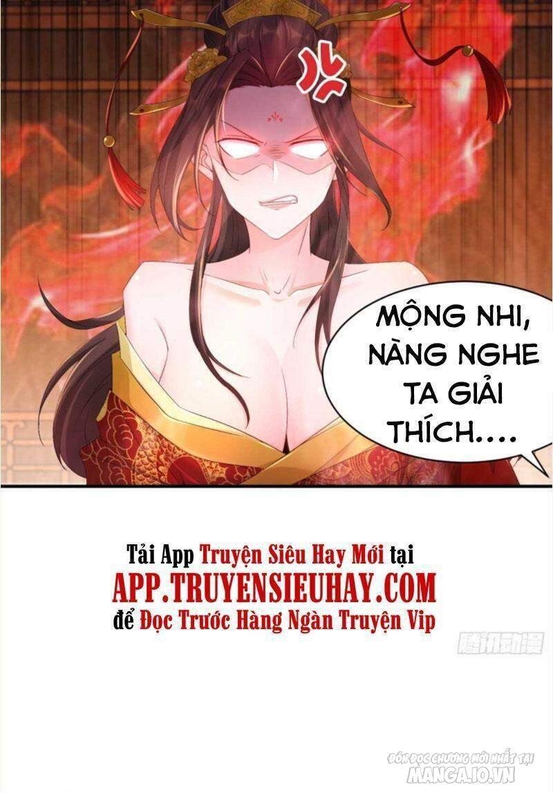 Người Ở Rể Bị Ép Thành Phản Diện Chapter 214 - Trang 2