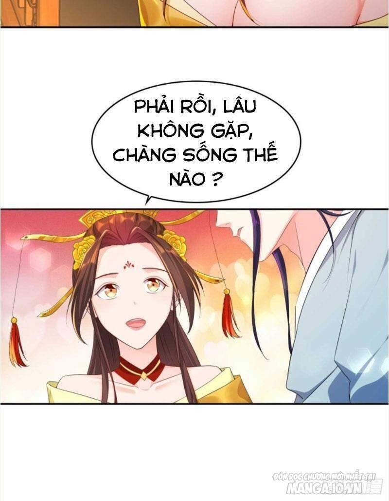 Người Ở Rể Bị Ép Thành Phản Diện Chapter 214 - Trang 2