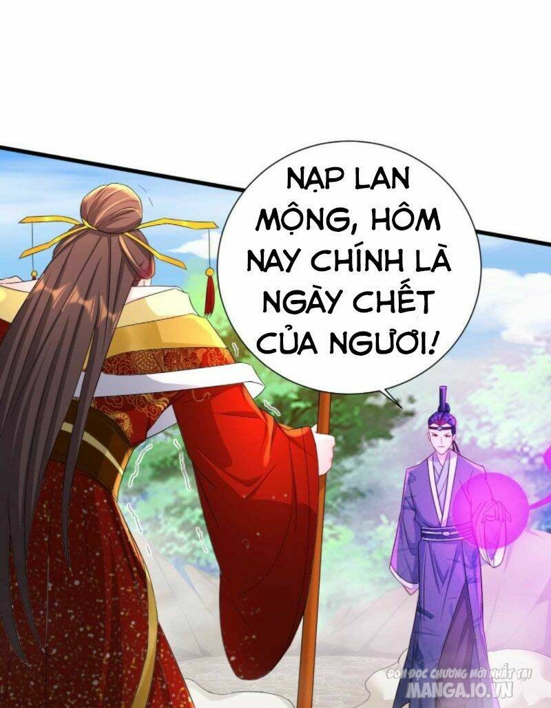 Người Ở Rể Bị Ép Thành Phản Diện Chapter 208 - Trang 2