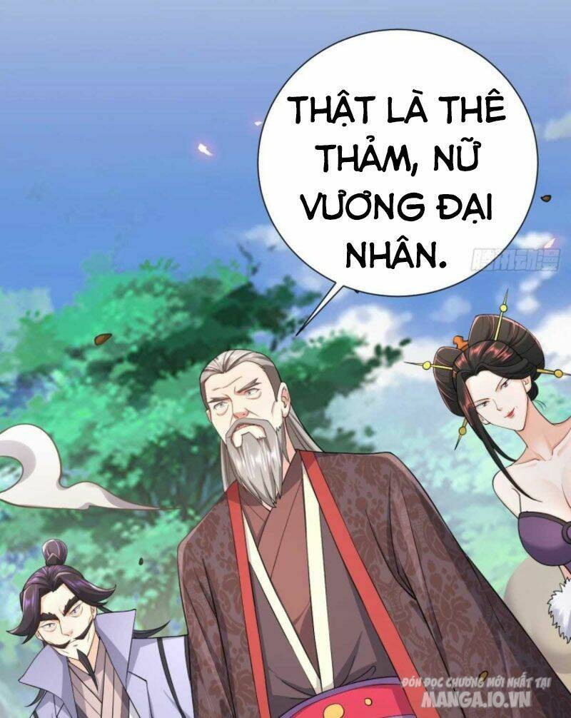 Người Ở Rể Bị Ép Thành Phản Diện Chapter 208 - Trang 2