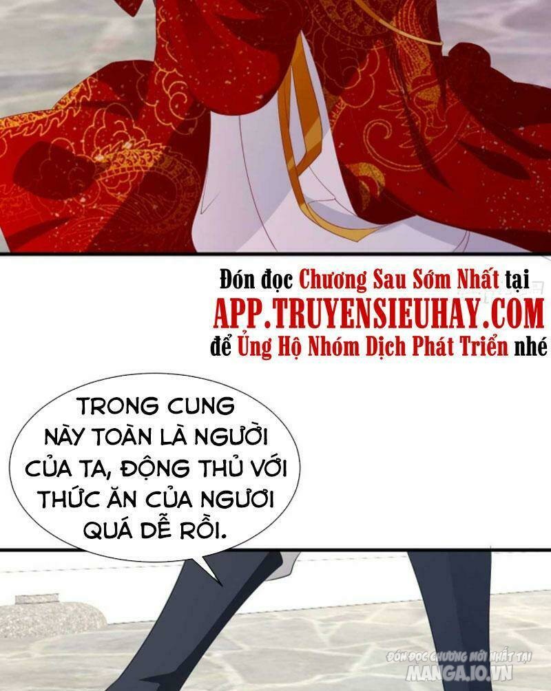 Người Ở Rể Bị Ép Thành Phản Diện Chapter 207 - Trang 2