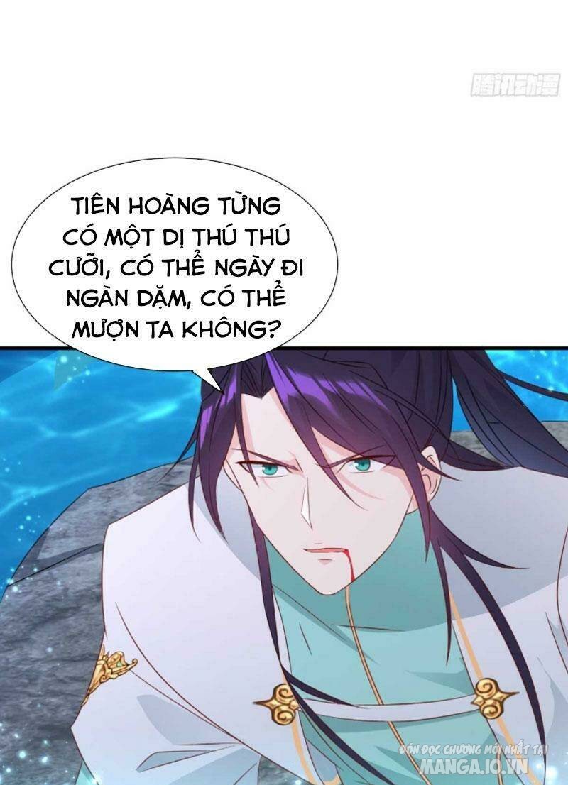 Người Ở Rể Bị Ép Thành Phản Diện Chapter 207 - Trang 2