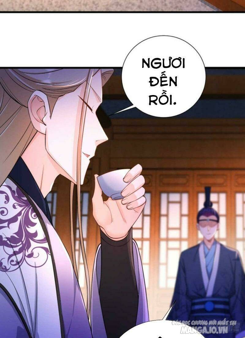 Người Ở Rể Bị Ép Thành Phản Diện Chapter 206 - Trang 2