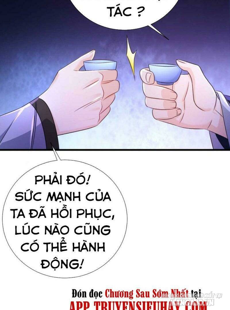 Người Ở Rể Bị Ép Thành Phản Diện Chapter 206 - Trang 2