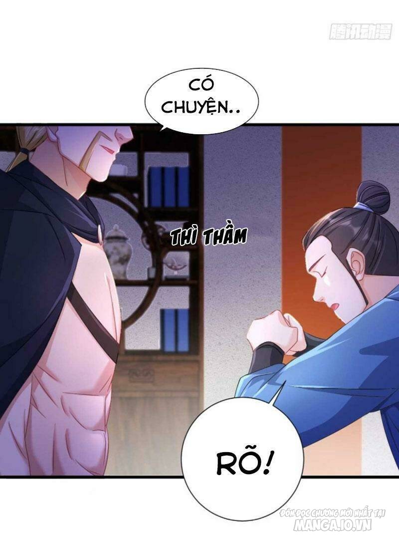 Người Ở Rể Bị Ép Thành Phản Diện Chapter 206 - Trang 2