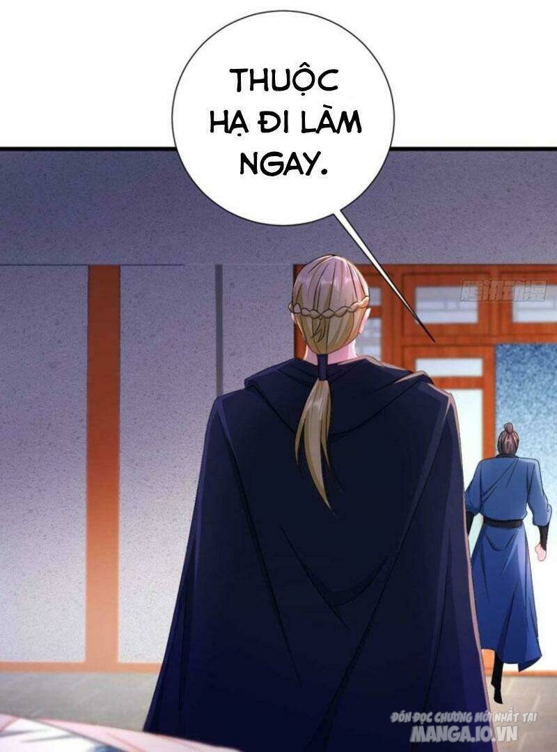 Người Ở Rể Bị Ép Thành Phản Diện Chapter 206 - Trang 2